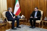 آخرین تحولات جهان اسلام در دیدار نماینده ایران در سازمان همکاری اسلامی با عراقچی بررسی شد