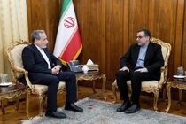 آخرین تحولات جهان اسلام در دیدار نماینده ایران در سازمان همکاری اسلامی با عراقچی بررسی شد