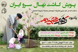 پویش درختکاری «سرو ایران» در شاه منظر هفشجان
