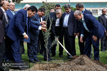 کاشت درخت توسط علی لاریجانی