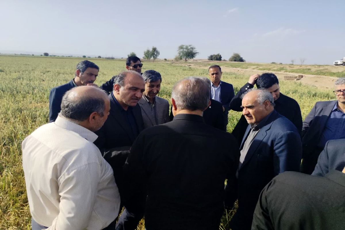 خسارت سیل