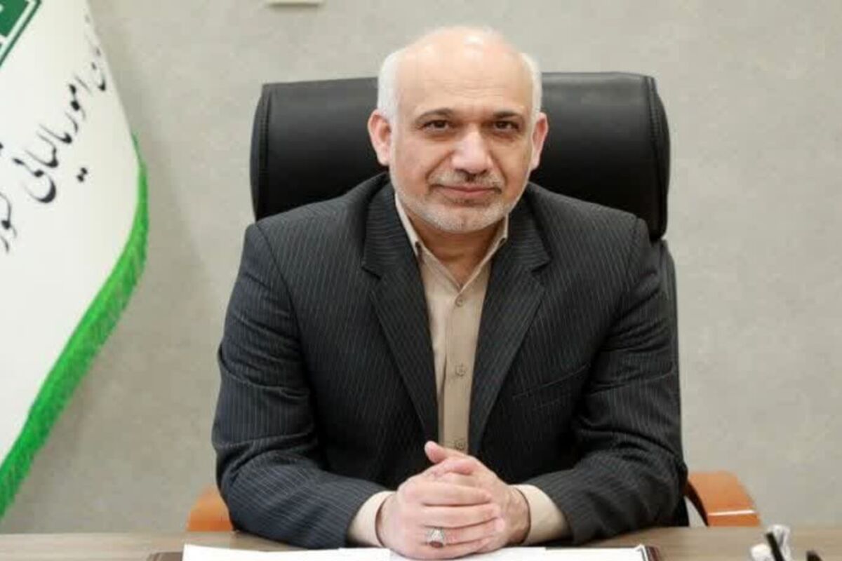 امور مالیاتی