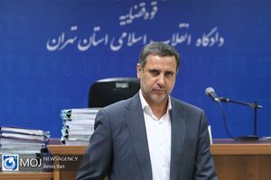 من مدیرعامل بودم و در بسیاری از جزئیات دخالت نداشتم