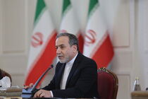 بارزترین ناکامی جامعه جهانی ناتوانی در اجرای عدالت و تأمین حقوق اساسی و انسانی فلسطینیان است