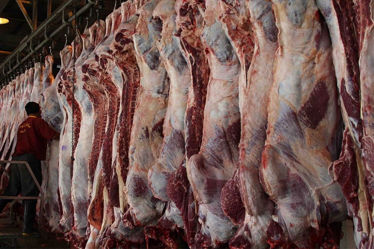 گوشت قرمز