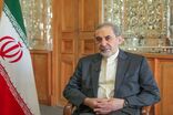 آمریکا با تمدن ایران قوی مشکل دارد