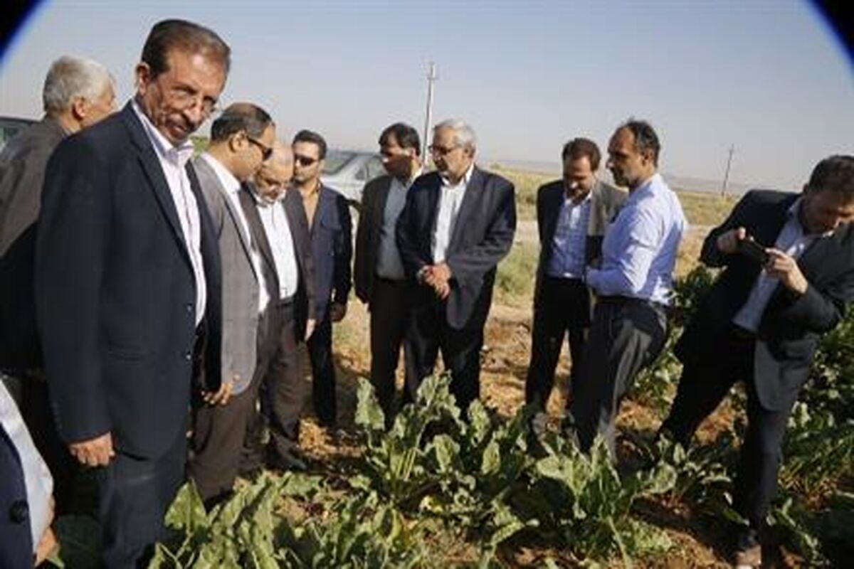 بازدید استاندار قم از باغ و مجتمع فراوری
