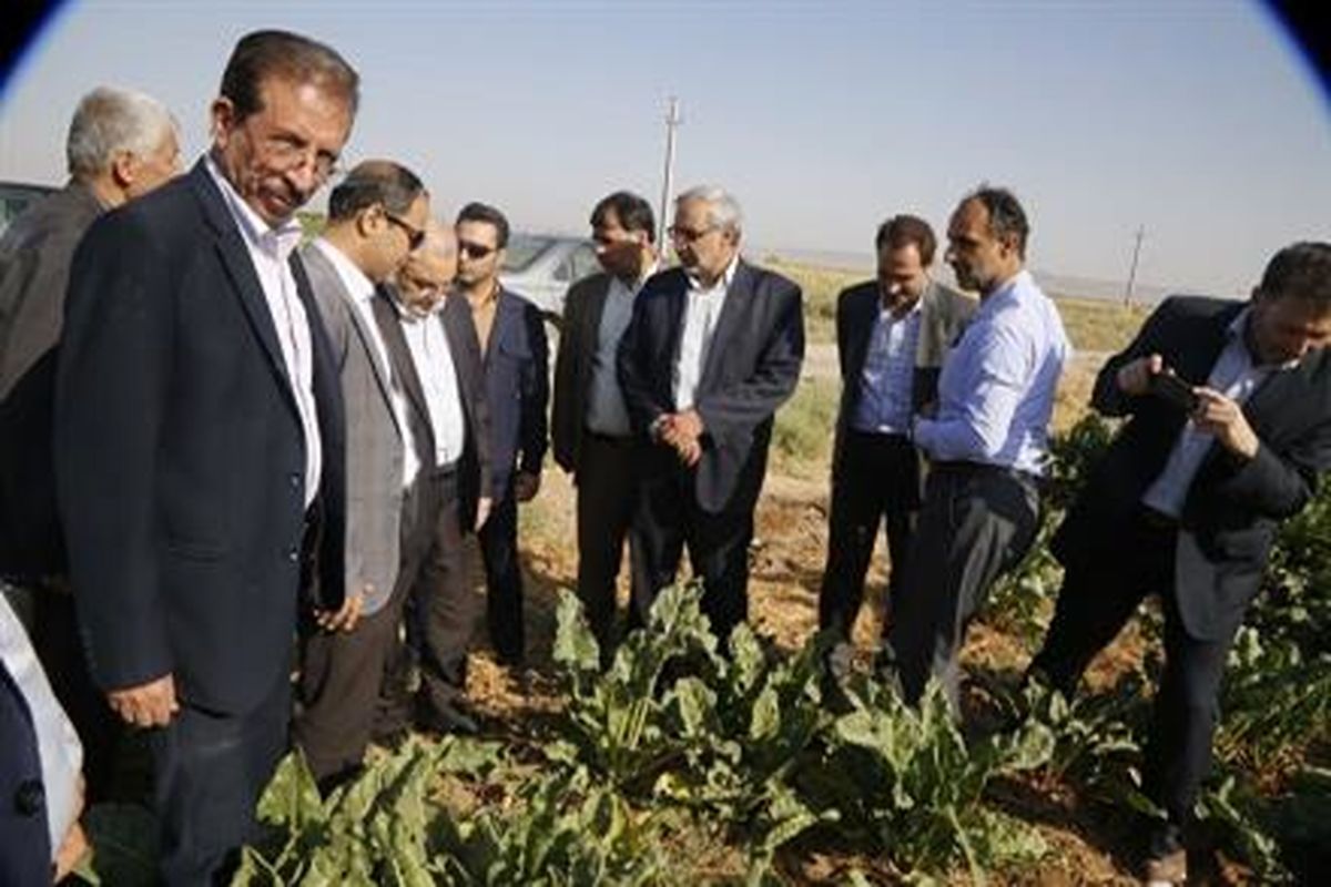 بازدید استاندار قم از باغ و مجتمع فراوری