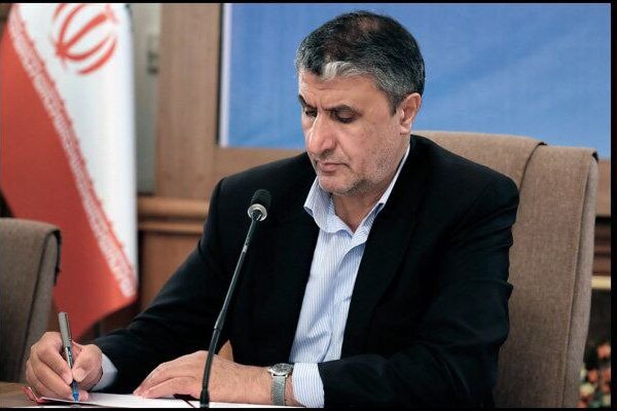 رئیس سازمان انرژی اتمی ایران