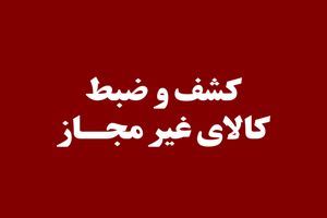 توقیف ۴ هزار و ۱۴۴ قلم کالای غیر مجاز در کازرون