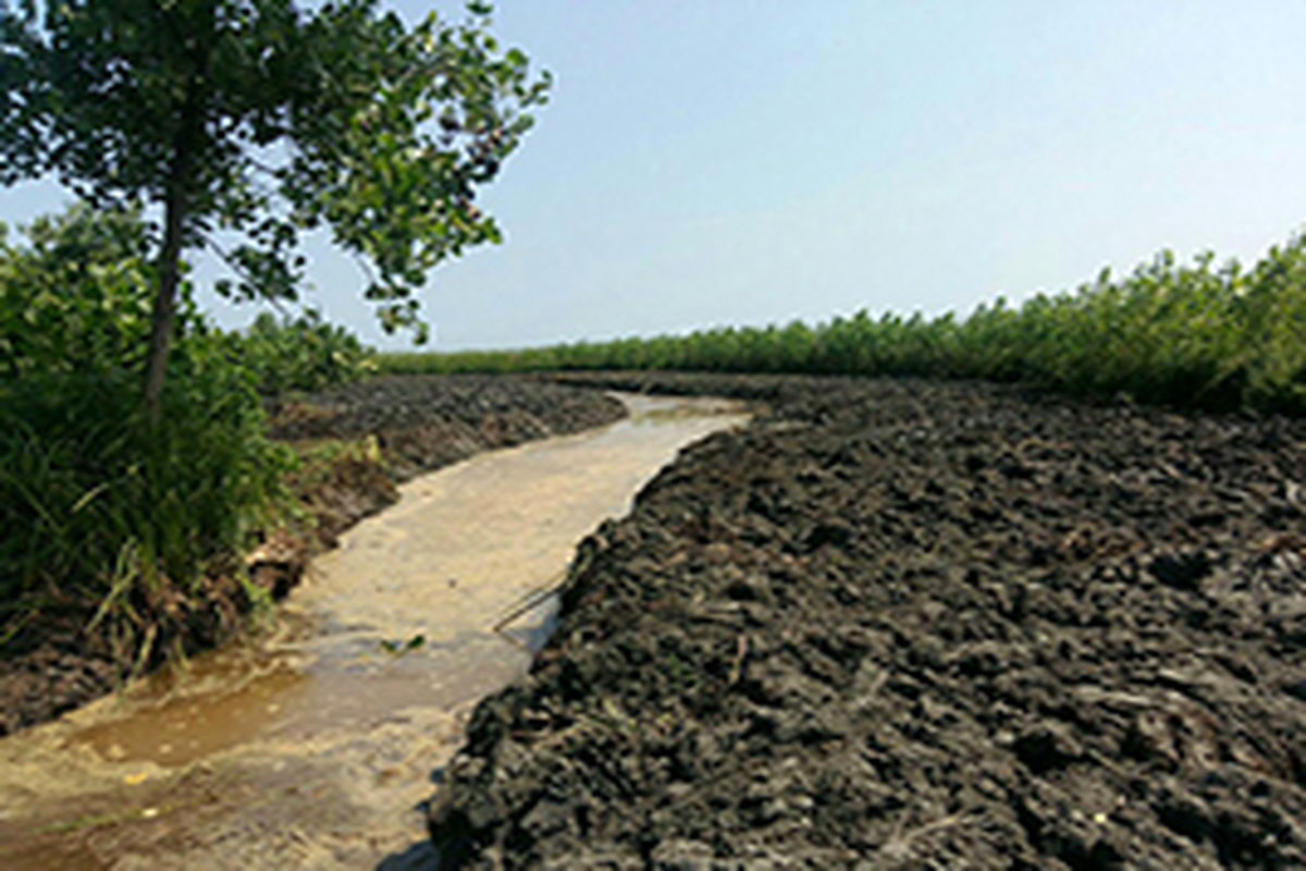 منطقه حفاظت شده