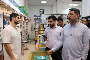 بازدید میدانی مدیرعامل منطقه آزاد کیش از مراکز خدماتی و درمانی کیش +فیلم