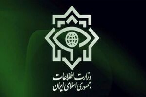 عامل اقدام خرابکارانه در سایت نطنز شناسایی شد