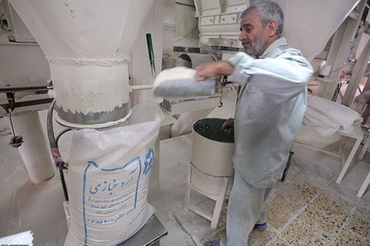 کارخانه آرد سازی