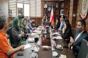 نشست هم اندیشی فعالان نمایش عروسکی و دبیرخانه جشنواره نمایش عروسکی مصرف بهینه برق