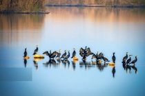 توسعه صنعت گردشگری در خوزستان 