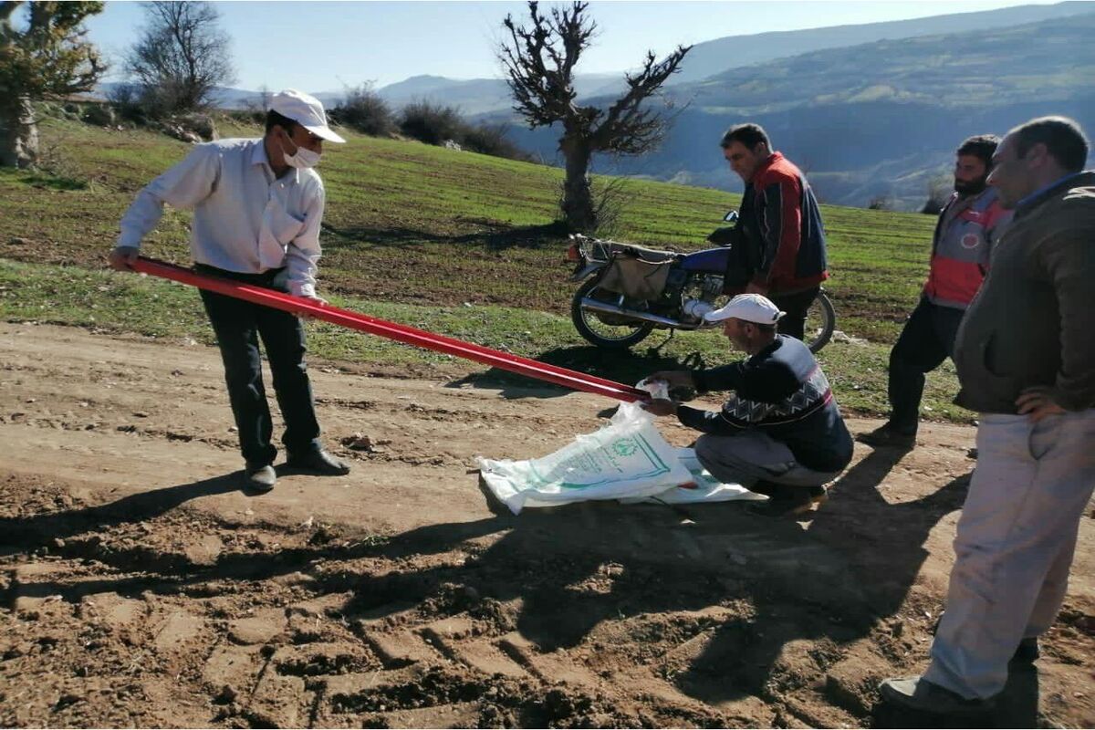 دیمزار گلوگاه