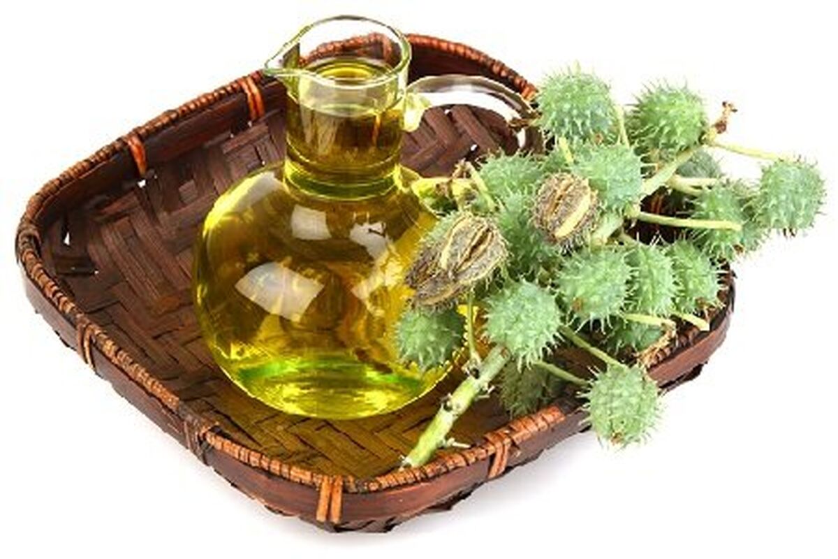 روغن کرچک