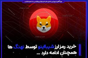  خرید رمز ارز شیبااینو (SHIB) توسط نهنگ ها همچنان ادامه دارد
