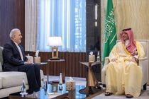 سفیر ایران و وزیر کشور عربستان درباره حج با هم گفتگو کردند