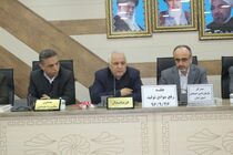 پالت سازی یکی از منابع بزرگ شهرستان تالش نیاز به حمایت دارد