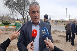 توزیع ۸۸۰ هزار اصله نهال در ۴۰ روز گذشته در استان