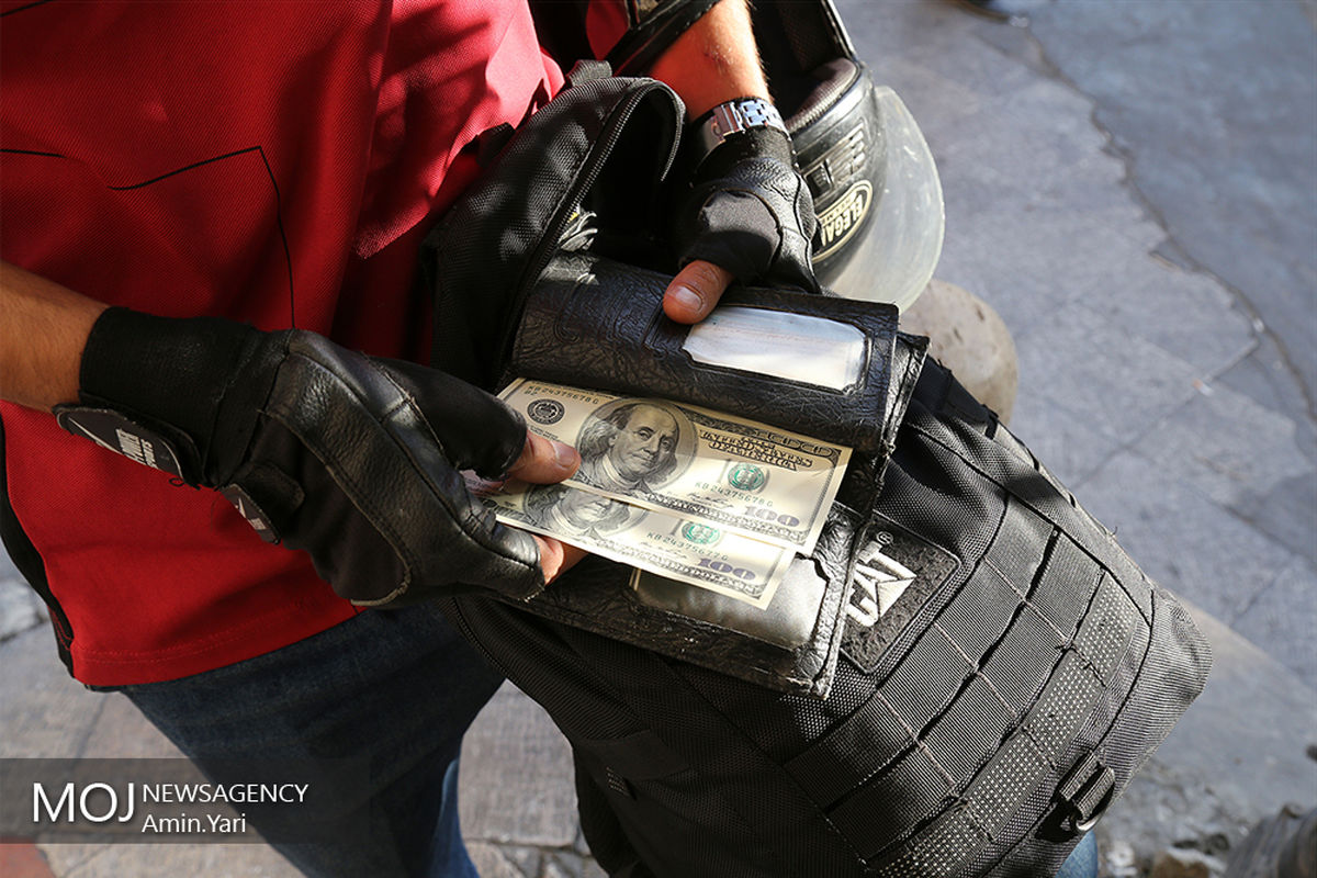 نوسانات بازار سکه و ارز