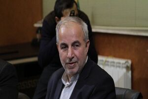 کوچکی نژاد: کارنامه مناطق آزاد قابل قبول نیست