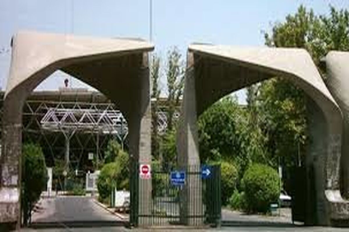 دانشگاه تهران