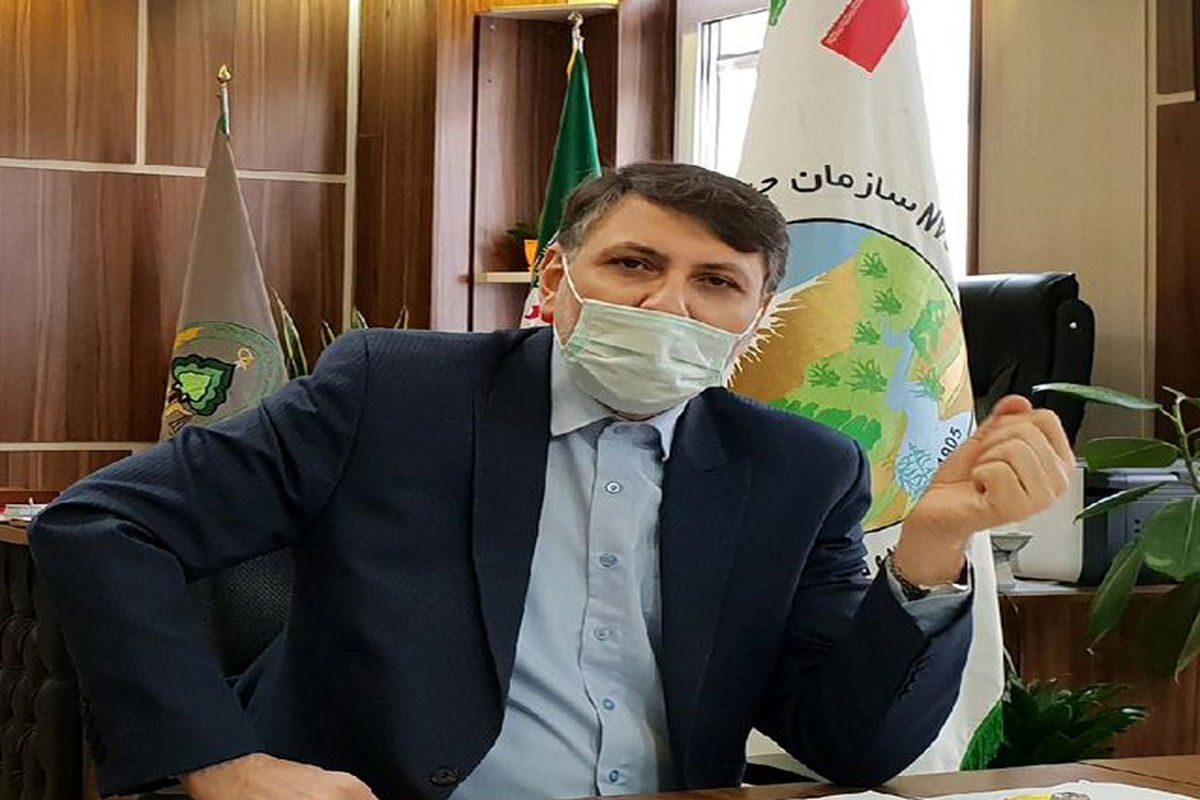 حسن قاسم زاده مدیرکل منابع طبیعی و آبخیزداری استان قزوین