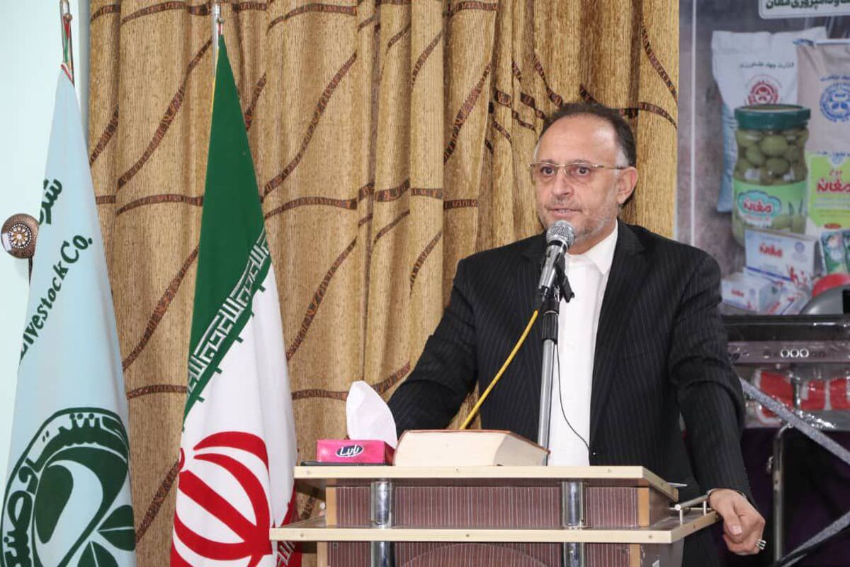 قاسم محمدی