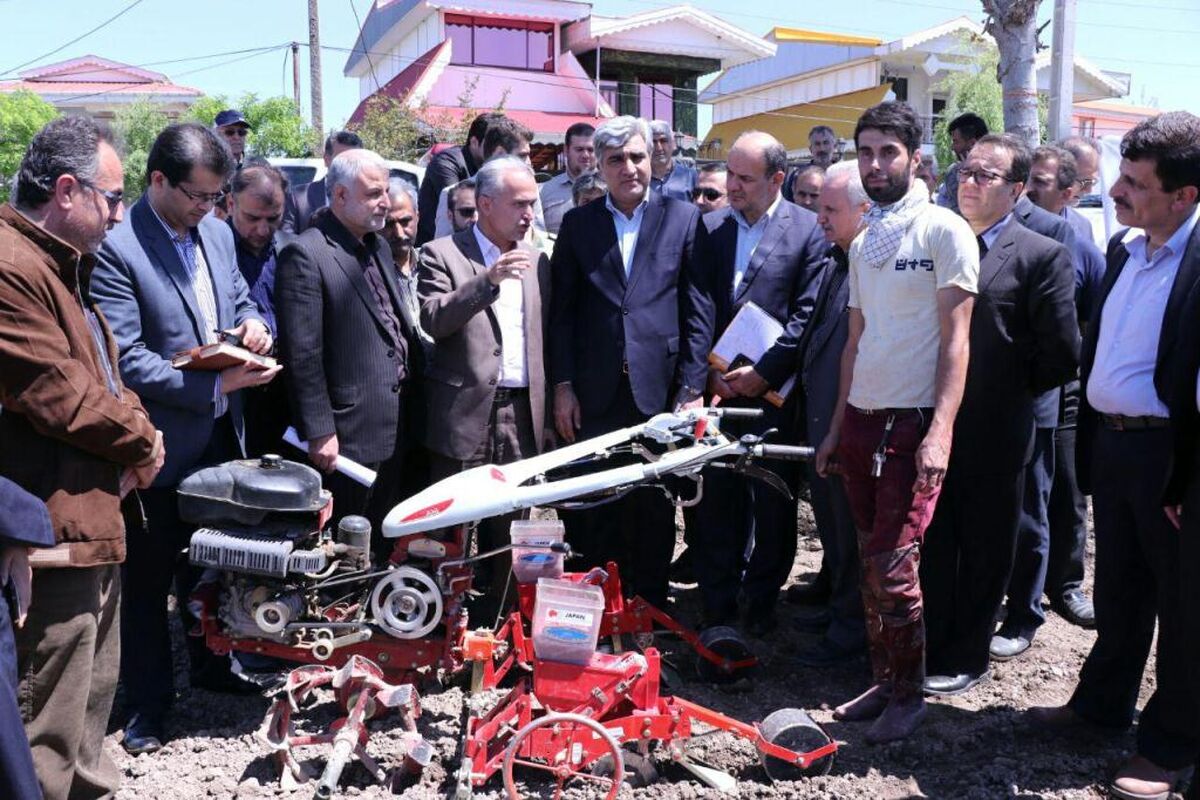 کشت مکانیزه بادام زمینی