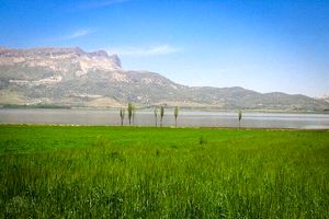 صدور سند تک برگ تالاب ارژن/ حفظ عرصه‌های محیط زیست و منابع طبیعی فارس وظیفه‌ای فرا سازمانی است