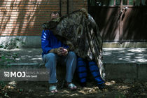 طرح دستگیری سارقان خشن در پایتخت