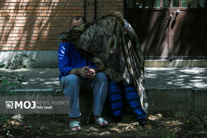 طرح دستگیری سارقان خشن در پایتخت