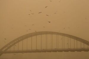دود ناشی از آتش سوزی در بخش عراقی هورالعظیم اهواز را فرا گرفت 