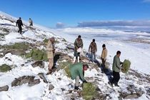 علوفه‌رسانی به حیات‌وحش منطقه حفاظت‌شده شیدا در پی بارش برف