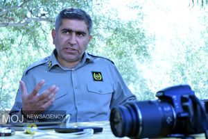 شاخص جمعیت حیات وحش منطقه گرین افزایش یافته است