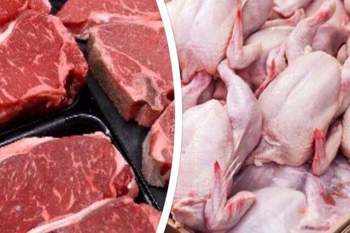 واردات مرغ و گوشت