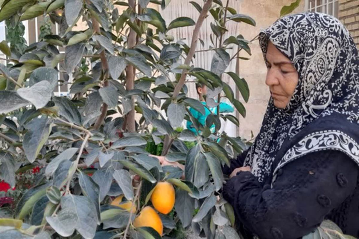 بانوی رادکانی