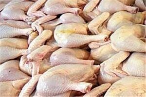 قیمت مرغ در مراکز خرده فروشی 7400 شد
