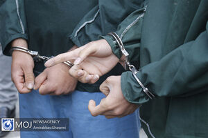 ۶۰ درصد مجرمان در تهران «غیربومی» هستند