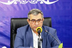 صادرات 80 تن نارنگی به روسیه/ انجام 79 میلیون قطعه جوجه ریزی در مازندران