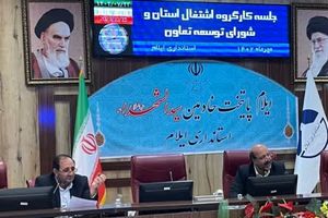 نهمین جلسه کارگروه اشتغال و شورای توسعه تعاون استان ایلام برگزار شد