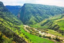 ایلام در هفته ای که گذشت