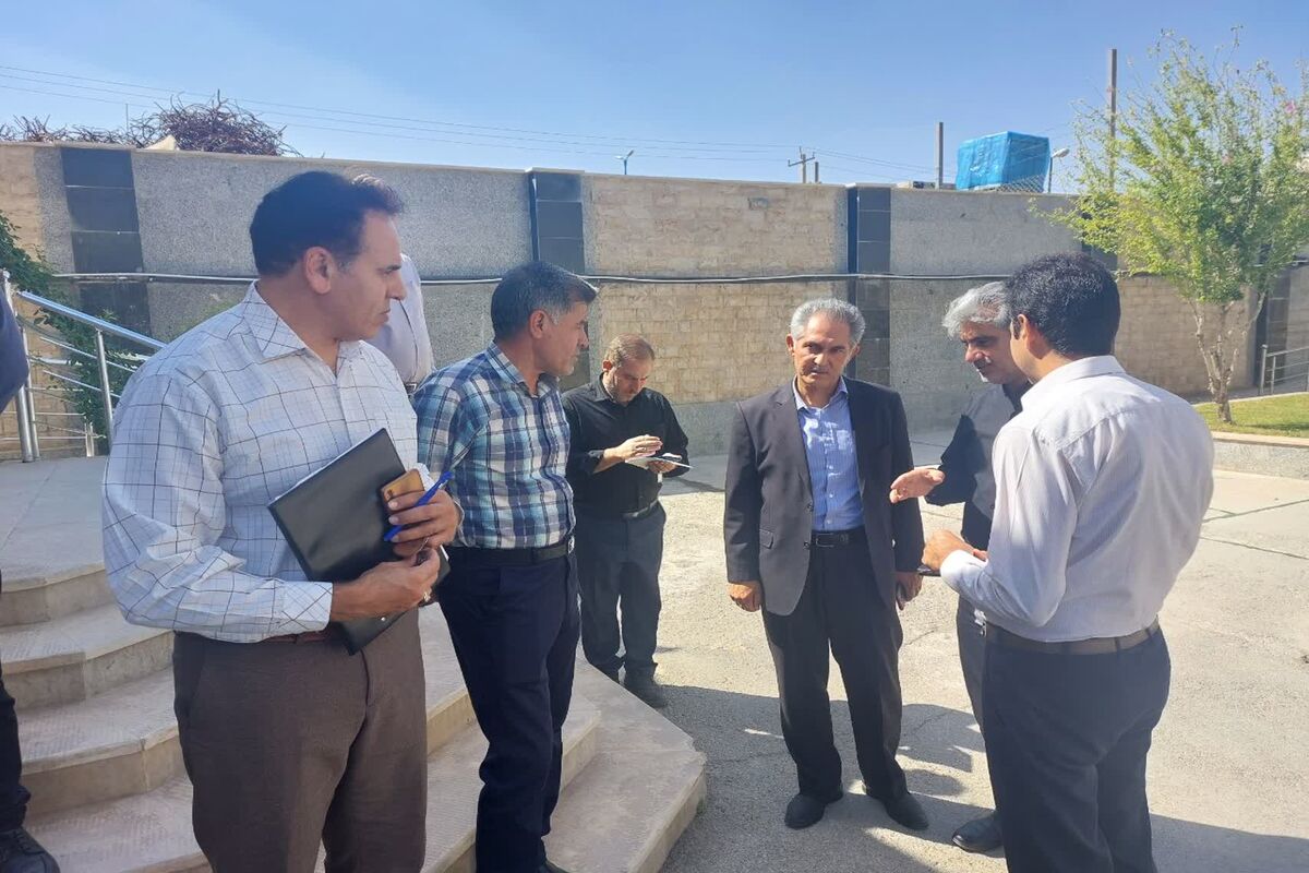 دوستی