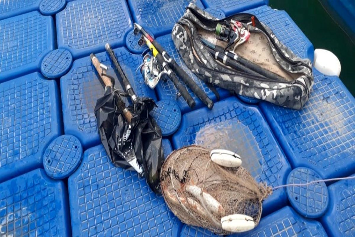 محیط زیست مازندران