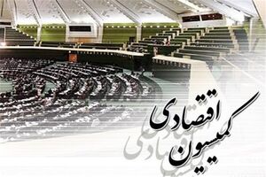 پور ابراهیمی رئیس کمیسیون اقتصادی شد