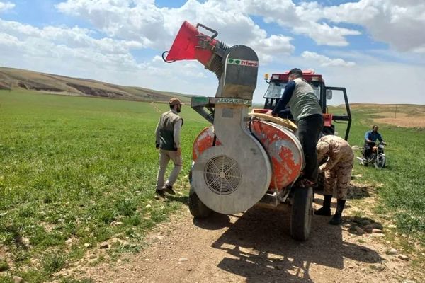 اجرای طرح بسیج سازندگی برای مقابله با آفت سن غلات در چاراویماق