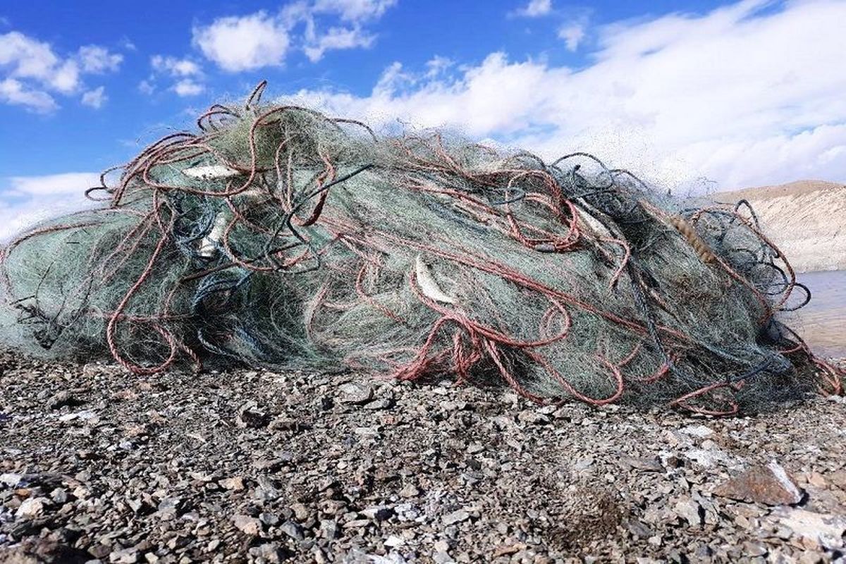 اصفهان- جمع آوری دام صیادی